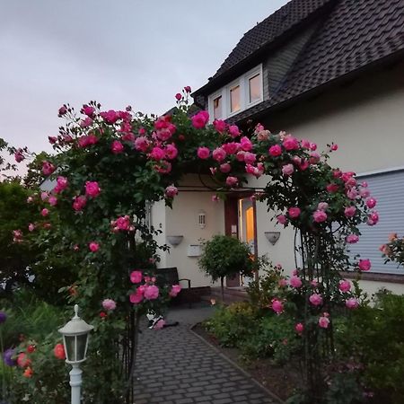 Willy Und Gudrun Apartment Rheda-Wiedenbrueck Luaran gambar